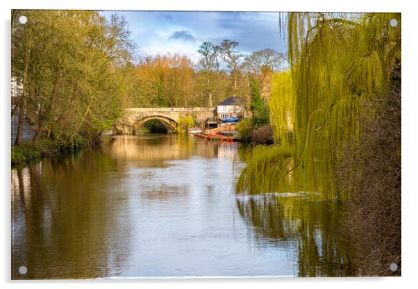 River Nidd Knaresborough Acrylic by Steve Smith