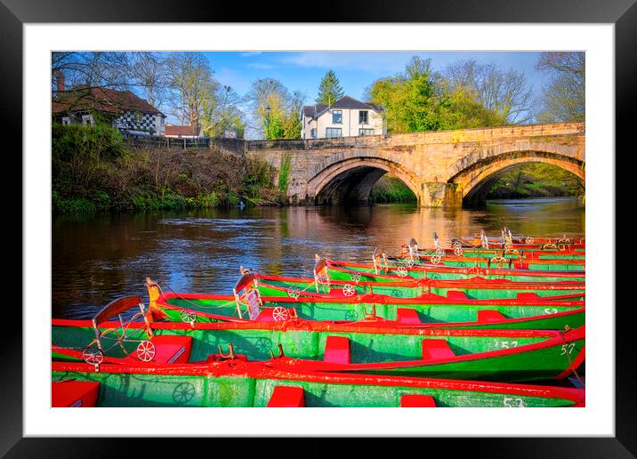 Knaresborough Rowing Boats Framed Mounted Print by Tim Hill