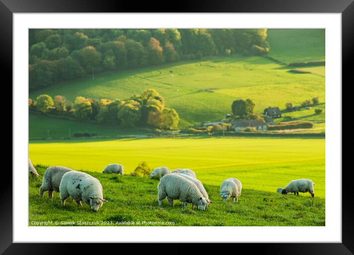 The Sheep May Safely Graze Framed Mounted Print by Slawek Staszczuk