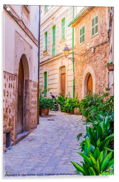 Mediterranean village, Discover the Idyllic Beauty Acrylic by Alex Winter