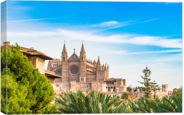 View of Cathedral La Seu, Palma Canvas Print by Alex Winter