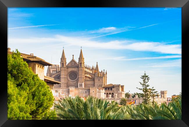 View of Cathedral La Seu, Palma Framed Print by Alex Winter