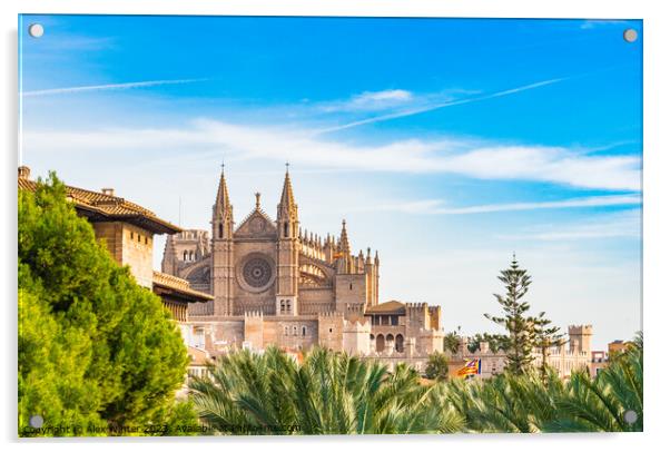 View of Cathedral La Seu, Palma Acrylic by Alex Winter