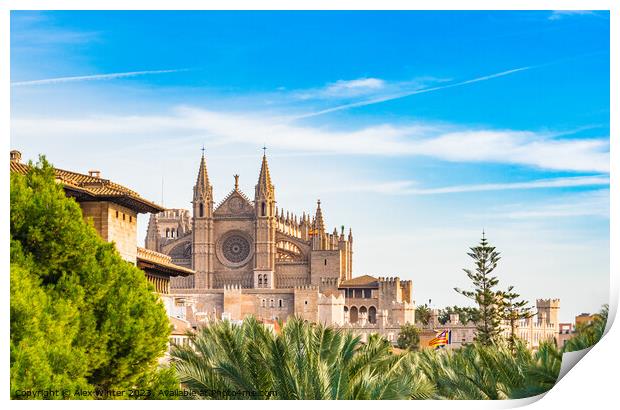 View of Cathedral La Seu, Palma Print by Alex Winter