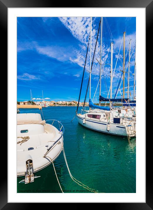 Marina harbor with moored sailing yachts in Porto  Framed Mounted Print by Alex Winter
