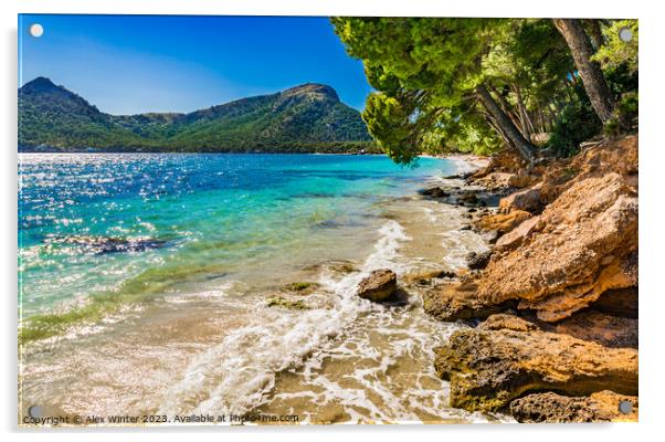 Platja de Formentor on Majorca Acrylic by Alex Winter