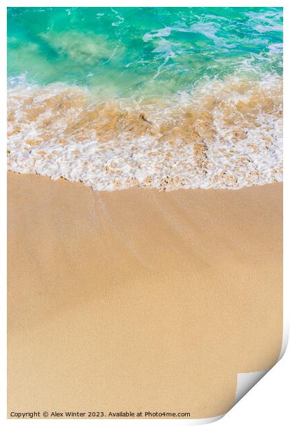 Summer holiday on sand beach background Print by Alex Winter