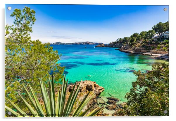Majorca Cala Fornells Acrylic by Alex Winter