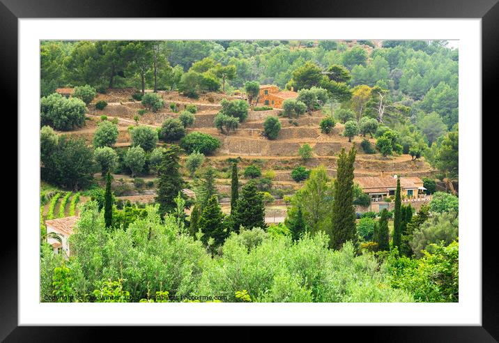 View of mediterranean terraced mountain landscape Framed Mounted Print by Alex Winter