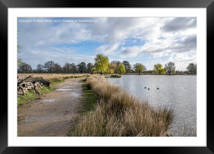 Bushy Park walk after the rain Framed Mounted Print by Kevin White