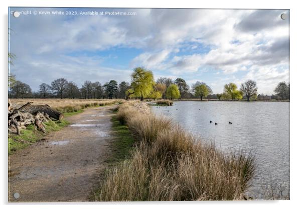 Bushy Park walk after the rain Acrylic by Kevin White