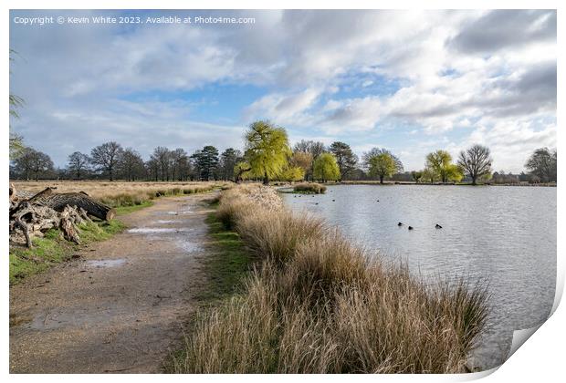 Bushy Park walk after the rain Print by Kevin White