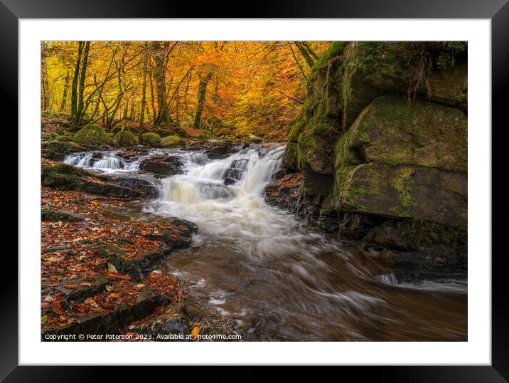 Birks of Aberfeldy Framed Mounted Print by Peter Paterson