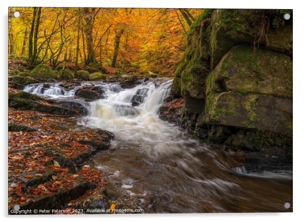 Birks of Aberfeldy Acrylic by Peter Paterson