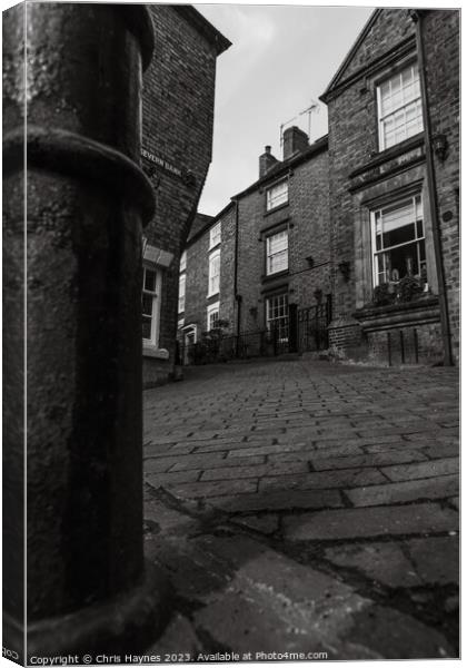 Severn Bank Ironbridge in Black and White Canvas Print by Chris Haynes