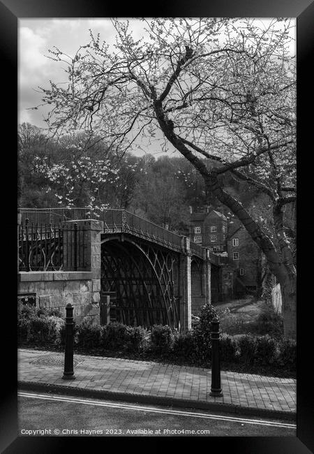 No Parking in Ironbridge in Black and White Framed Print by Chris Haynes