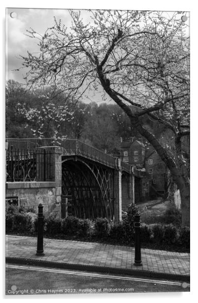 No Parking in Ironbridge in Black and White Acrylic by Chris Haynes