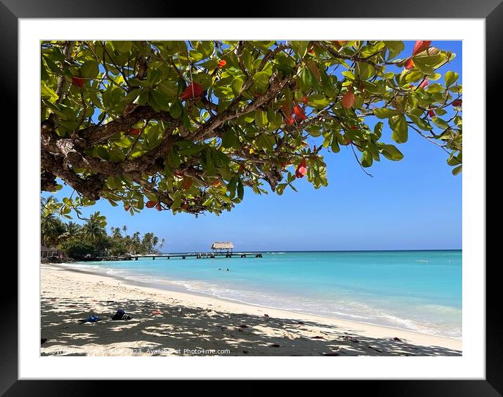Pigeon Point Tobago Framed Mounted Print by kelly Draper