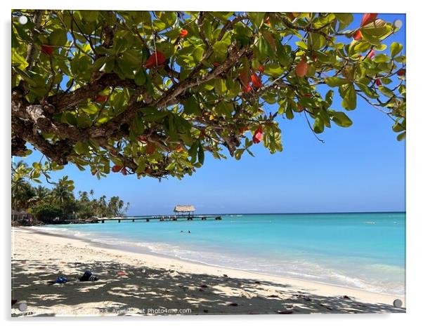 Pigeon Point Tobago Acrylic by kelly Draper