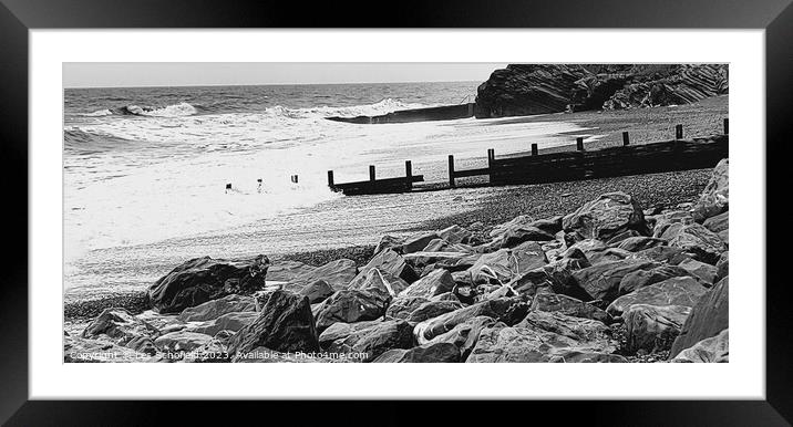 Wild sea Framed Mounted Print by Les Schofield