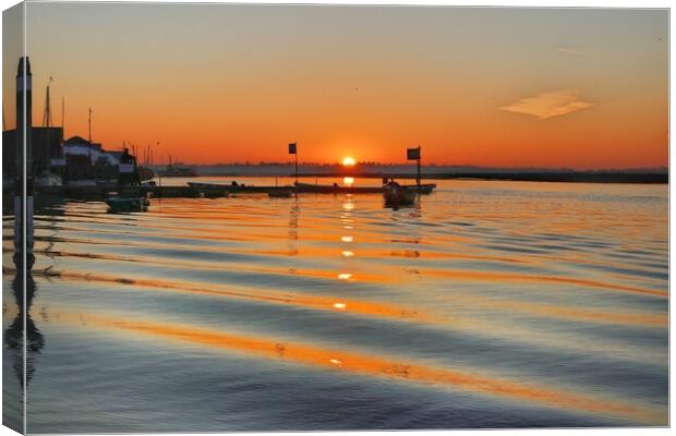 Sunrise over Brightlingsea Harbour in Essex  Canvas Print by Tony lopez