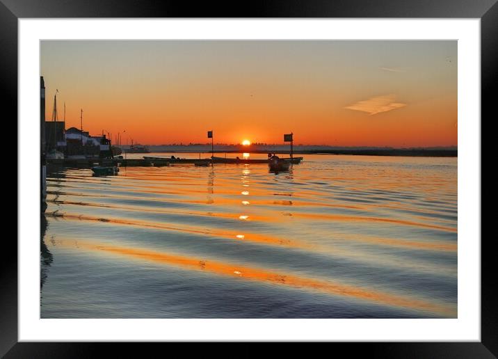 Sunrise over Brightlingsea Harbour in Essex  Framed Mounted Print by Tony lopez