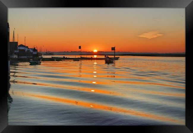 Sunrise over Brightlingsea Harbour in Essex  Framed Print by Tony lopez