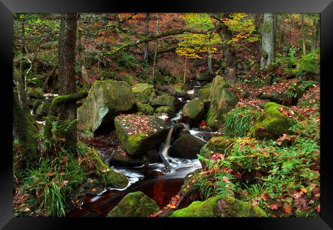 Padley Gorge Framed Print by Alison Chambers