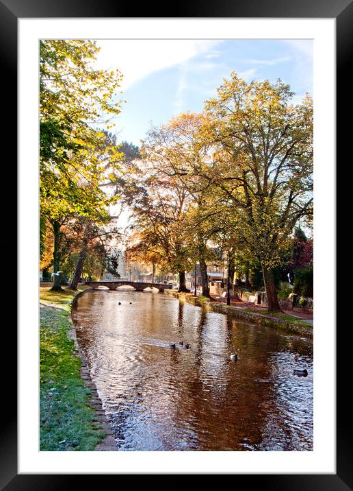 Bourton on the Water Autumn Trees Cotswolds UK Framed Mounted Print by Andy Evans Photos