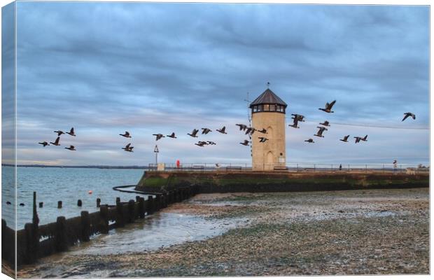 Fly past across Batemans tower Brightlingsea  Canvas Print by Tony lopez