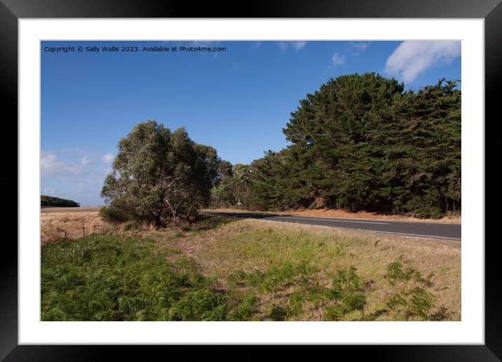 Australian Highway  Framed Mounted Print by Sally Wallis