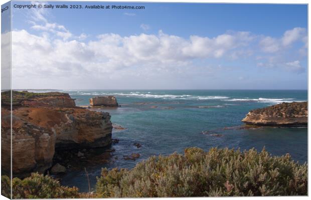 View from Great Ocean Road Canvas Print by Sally Wallis