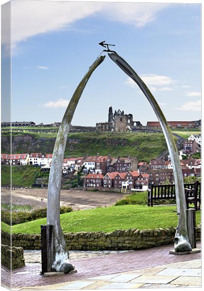 The whale jaw bone arch Canvas Print by Kevin Tate