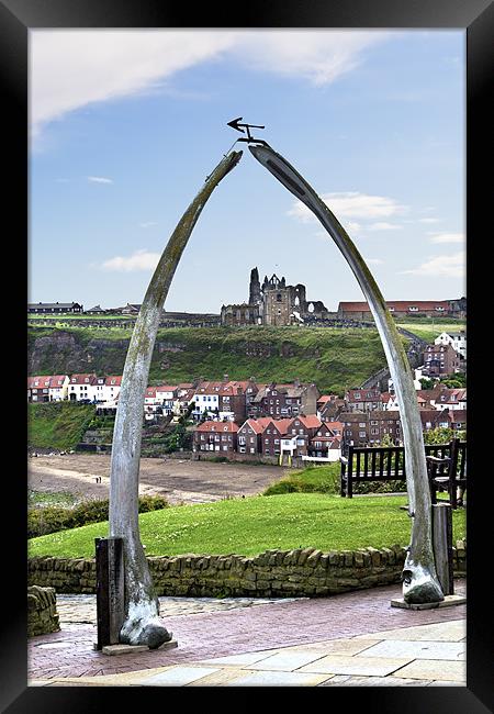 The whale jaw bone arch Framed Print by Kevin Tate