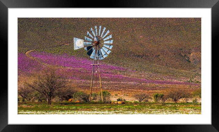 A splash of colour. Framed Mounted Print by Adrian Turnbull-Kemp
