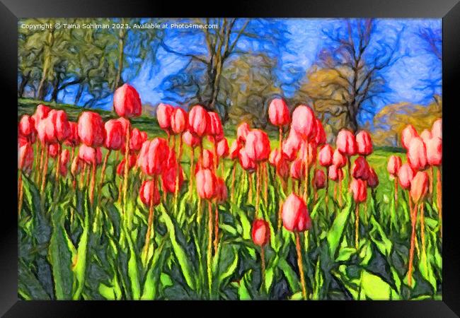 Pink Tulips in the Spring Impressions Framed Print by Taina Sohlman