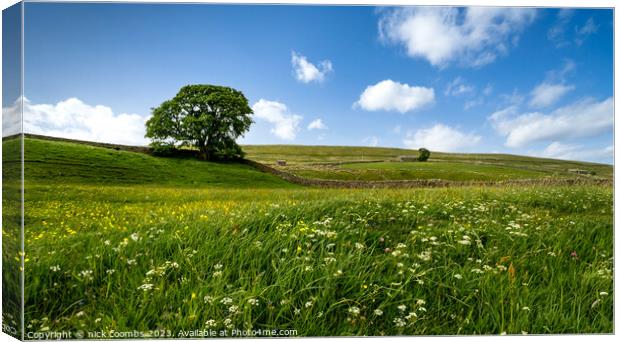 Yorkshire Dales Meadow Canvas Print by nick coombs