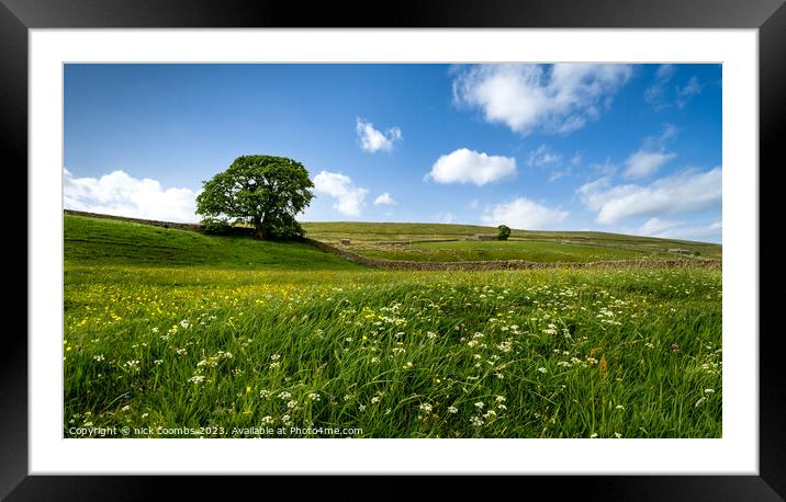 Yorkshire Dales Meadow Framed Mounted Print by nick coombs
