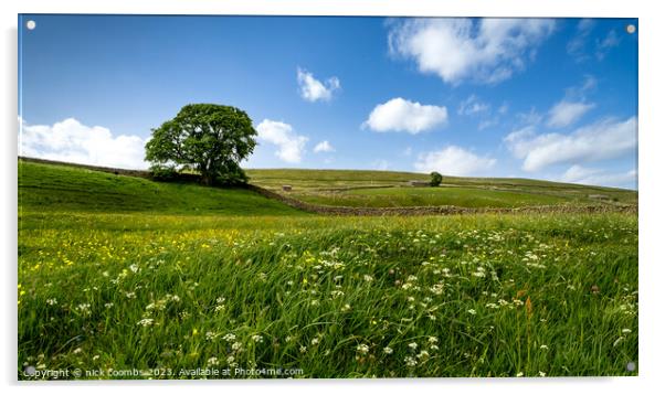 Yorkshire Dales Meadow Acrylic by nick coombs