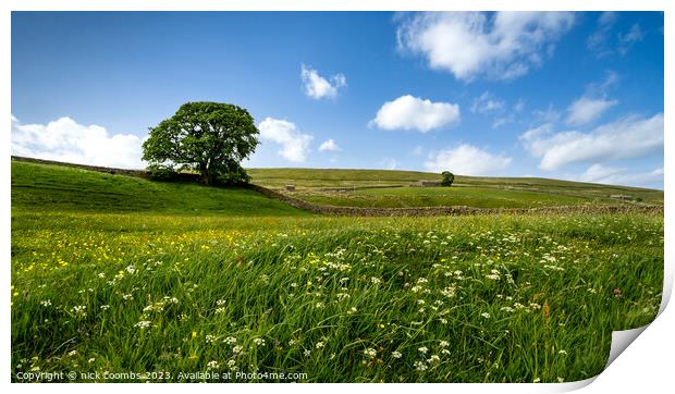 Yorkshire Dales Meadow Print by nick coombs