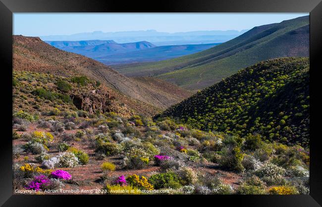 Wildflowers, Bloukrans Pass from the R355 near Calvinia, Northern Cape.	Outdoor mountain Framed Print by Adrian Turnbull-Kemp