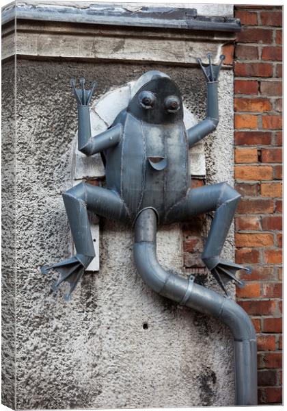 Frog Rain Gutter in Gdansk Canvas Print by Artur Bogacki