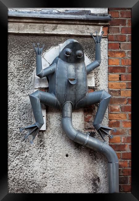 Frog Rain Gutter in Gdansk Framed Print by Artur Bogacki