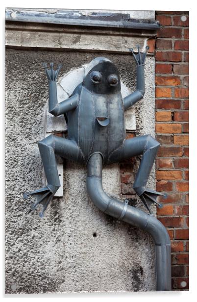 Frog Rain Gutter in Gdansk Acrylic by Artur Bogacki