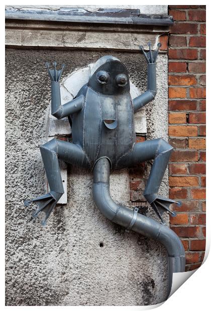 Frog Rain Gutter in Gdansk Print by Artur Bogacki