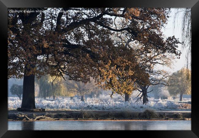 Morning frost mist and sunshine in December Framed Print by Kevin White