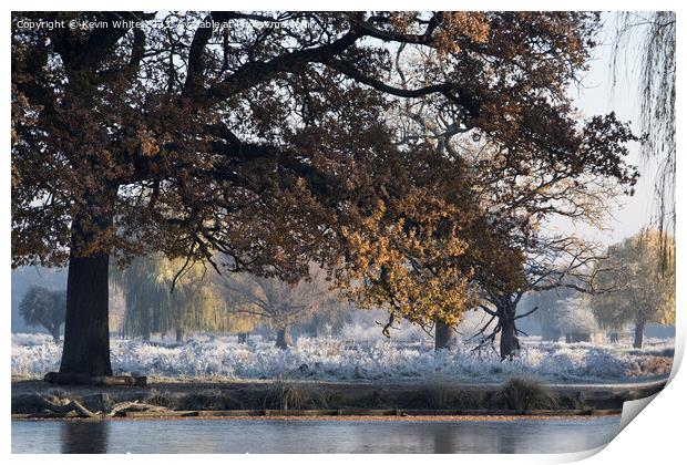 Morning frost mist and sunshine in December Print by Kevin White