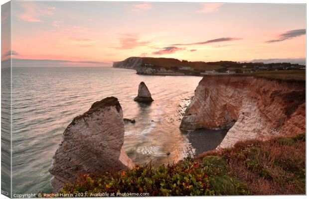 Freshwater Bay, Isle of Wight, Sunset Canvas Print by Rachel Harris