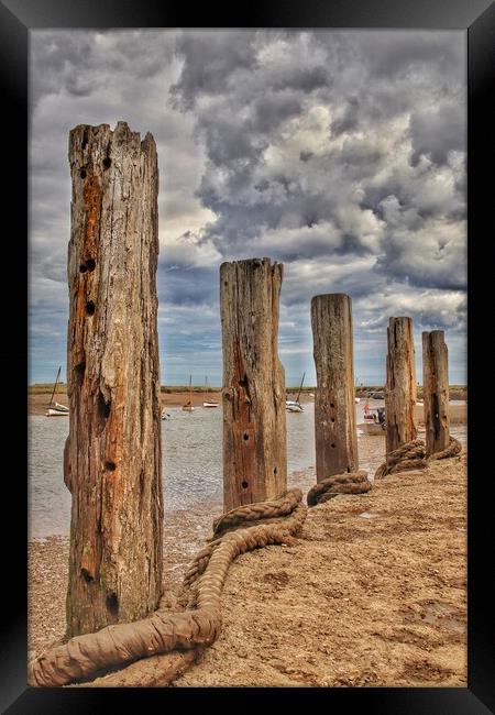 Burnham Overy Staithes Harbour mooring posts Framed Print by Tony lopez