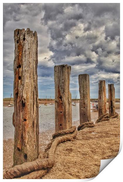 Burnham Overy Staithes Harbour mooring posts Print by Tony lopez